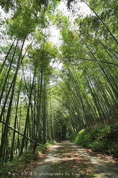 南投鹿谷小半天瀑布大崙山茶園武岫農場一日遊6985