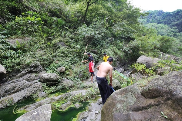 南投鹿谷小半天瀑布大崙山茶園武岫農場一日遊7024