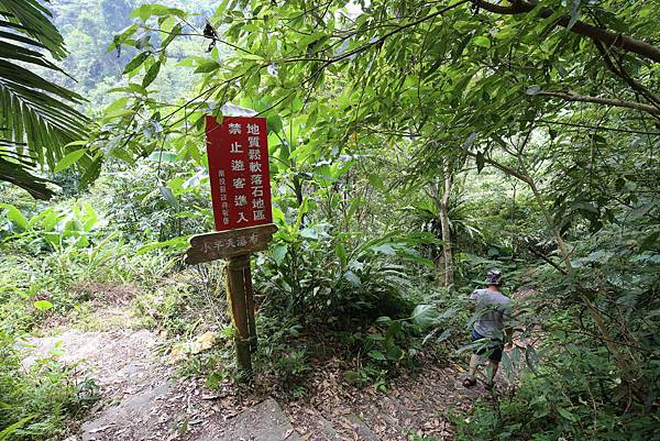 南投鹿谷小半天瀑布大崙山茶園武岫農場一日遊7009