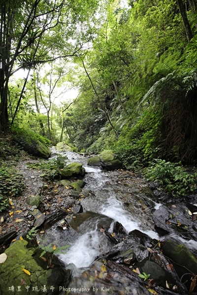 南投埔里中坑瀑布.露營區.玩水.清潔費.南投一日遊.埔里景點437513_o