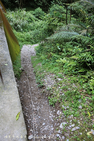 南投埔里中坑瀑布.露營區.玩水.清潔費.南投一日遊.埔里景點947596_o