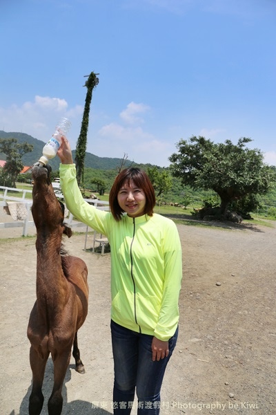 悠客馬場悠客馬術渡假村屏東車城籠埔騎馬住宿度假野外騎馬0571