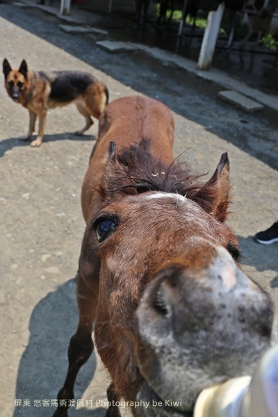 IMG_0560 IMG_0560