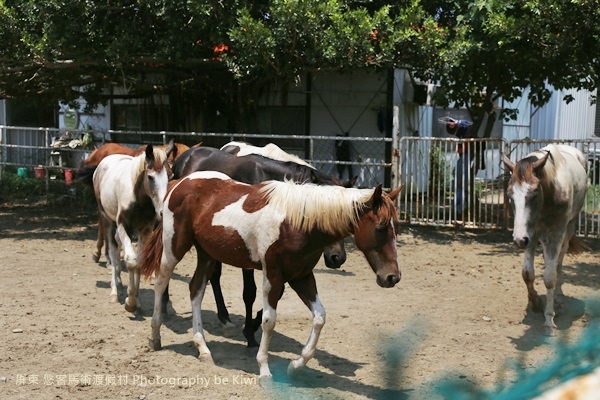IMG_0487 IMG_0487