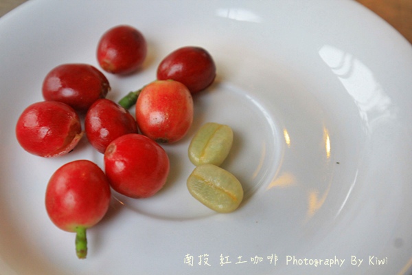 IMG_2058 IMG_2058