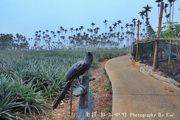 IMG_2074 IMG_2074