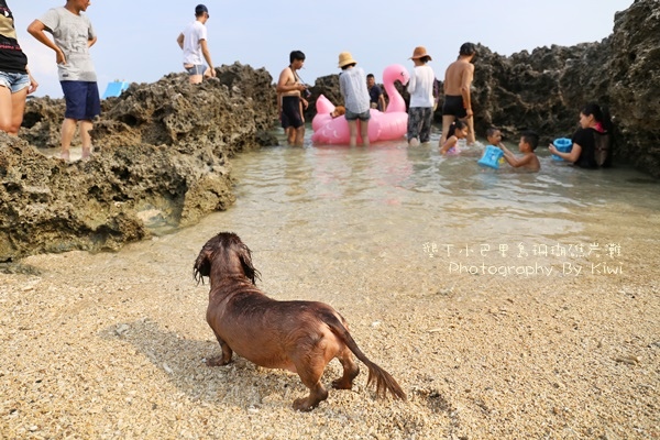 屏東墾丁小巴里島珊瑚礁岩灘恆春景點親子遊玩水0636