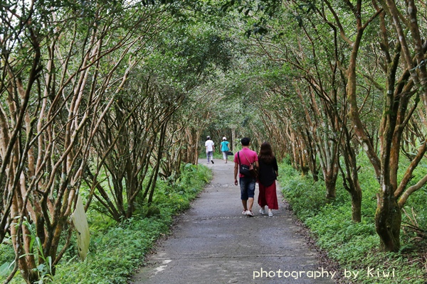 IMG_3309 IMG_3309