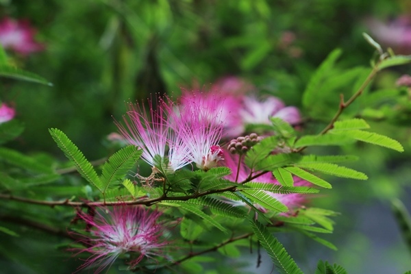 IMG_3307 IMG_3307