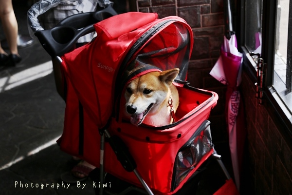 IMG_3830 IMG_3830