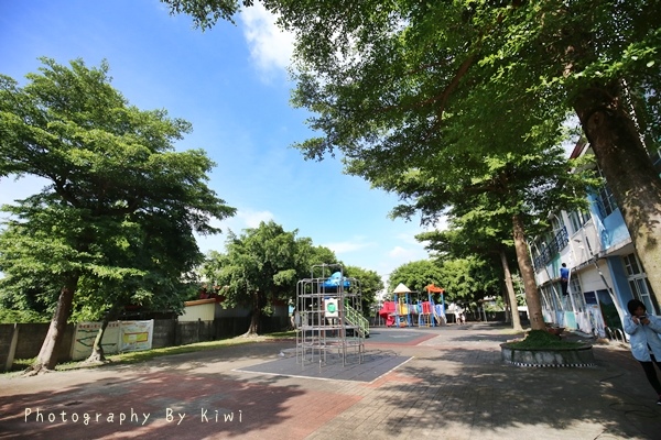 IMG_3335 IMG_3335