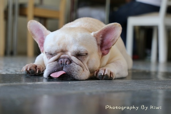 IMG_2915 IMG_2915