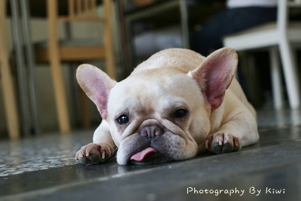 IMG_2914 IMG_2914