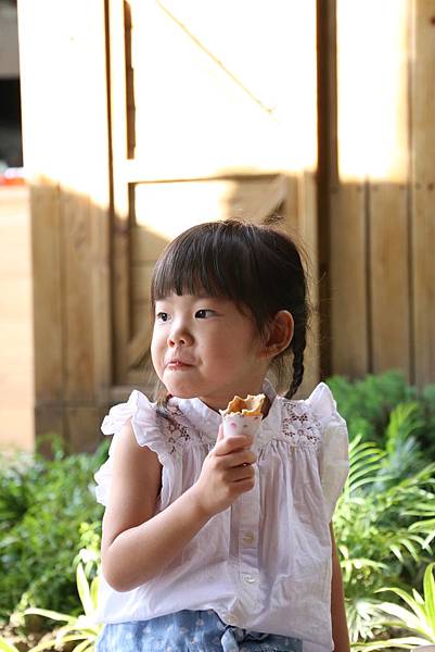 IMG_4236 IMG_4236