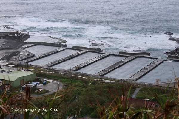 IMG_8746 IMG_8746