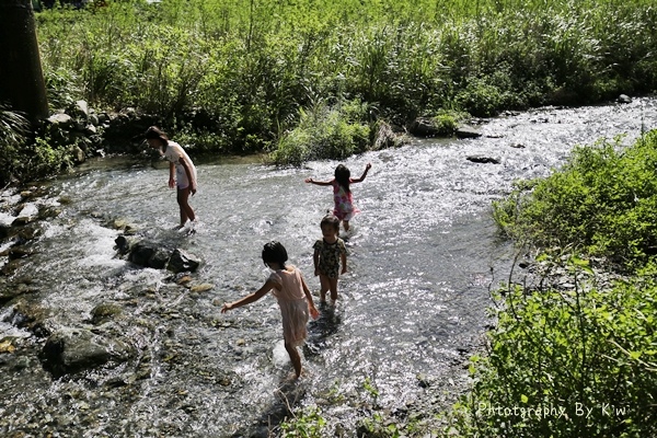 IMG_9227 IMG_9227