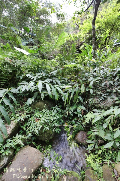 9547 9547