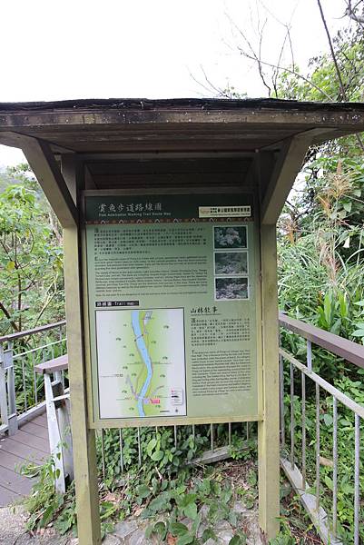IMG_9528 IMG_9528