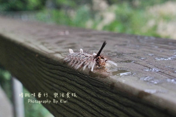 IMG_1385 IMG_1385