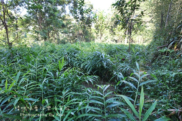 IMG_9130 IMG_9130