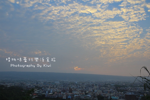 IMG_7331 IMG_7331