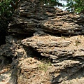 珊瑚岩