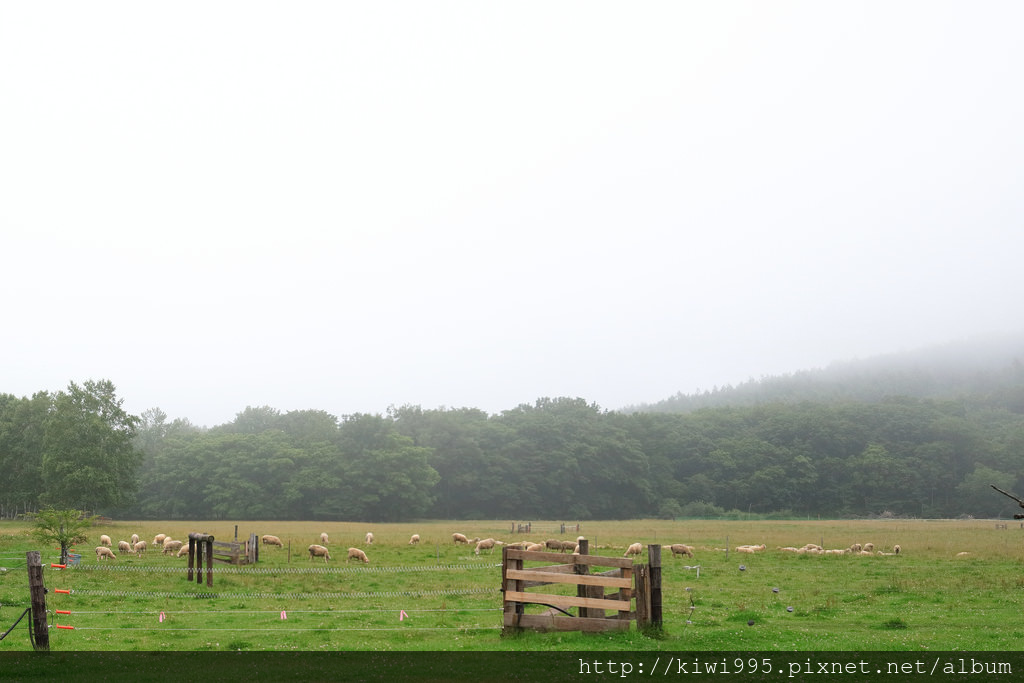 yorkshire farm