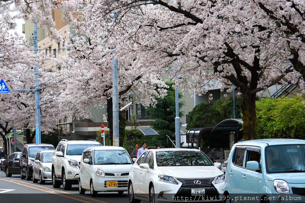 山崎川附近街道