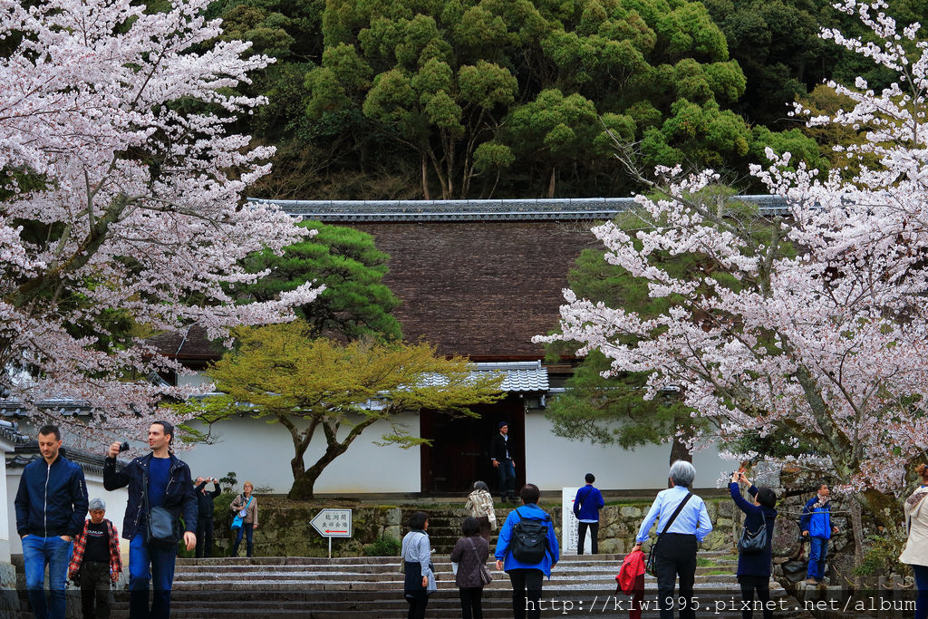 南禪寺