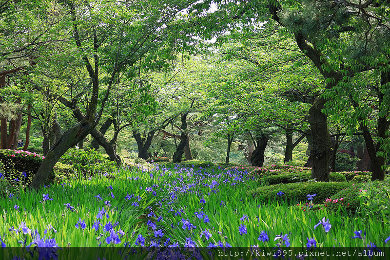 兼六園