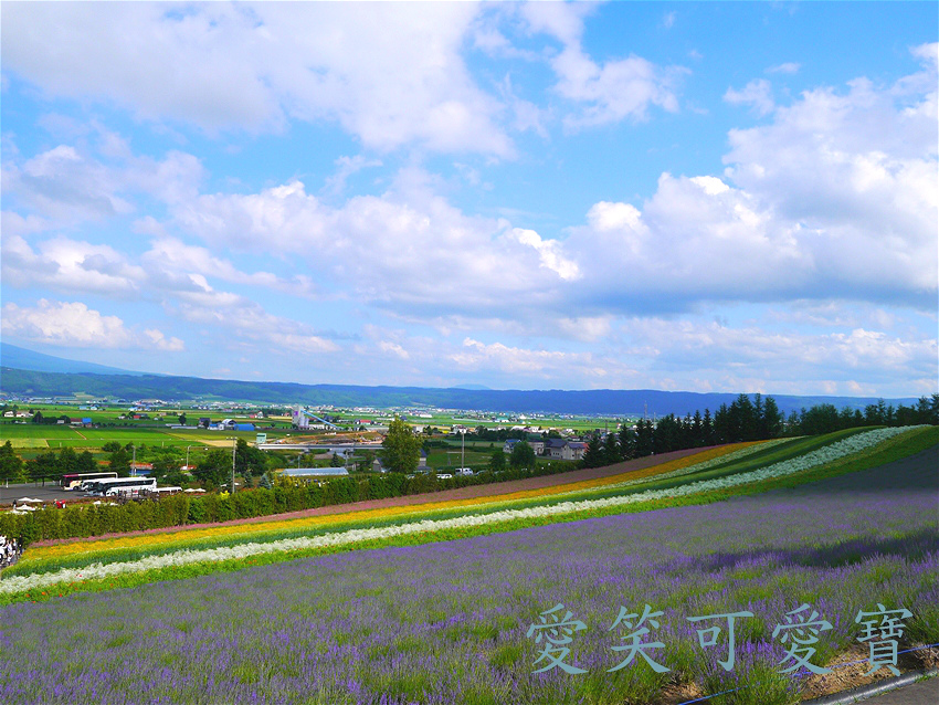 P1280191_meitu_9.jpg