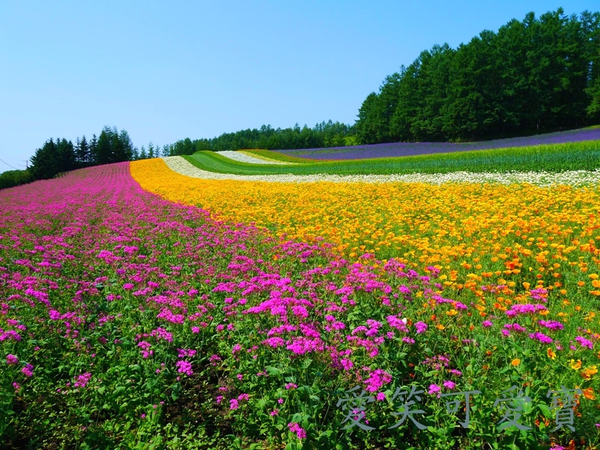 P1280430_meitu_1.jpg P1280430_meitu_1.jpg