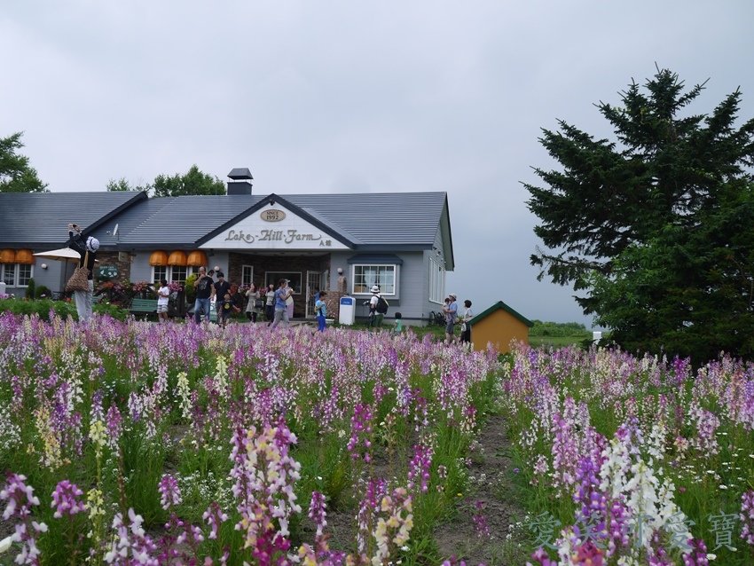 P1290361.JPG P1290361.JPG