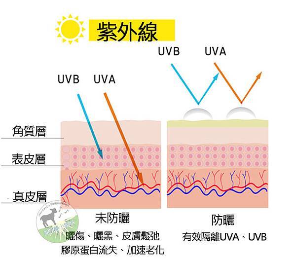 UVA.jpg