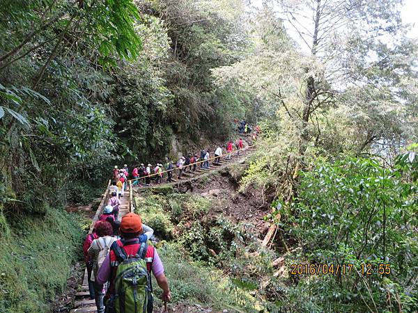 特富野、東埔溫泉行