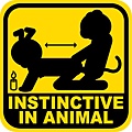 instinctive in animal.jpg