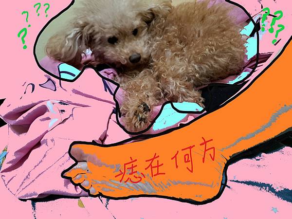 拍謝!我忘了拍原始痣的左腳,於是上圖用右腳重新模擬我當初痣的位置,當然看看就好