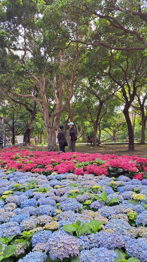 臺北好地方～大安森林公園&永康隨走