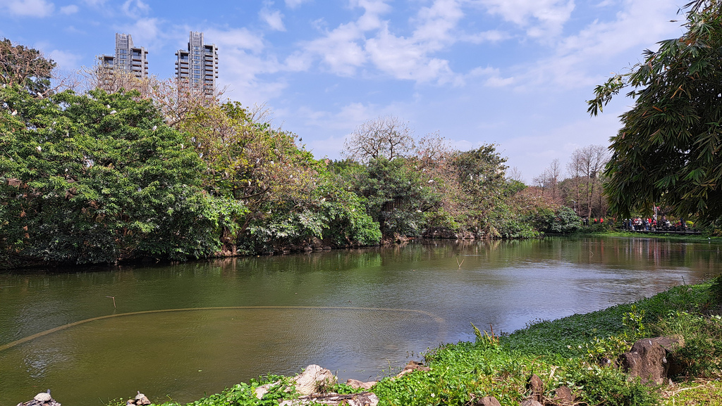 臺北好地方～大安森林公園&永康隨走