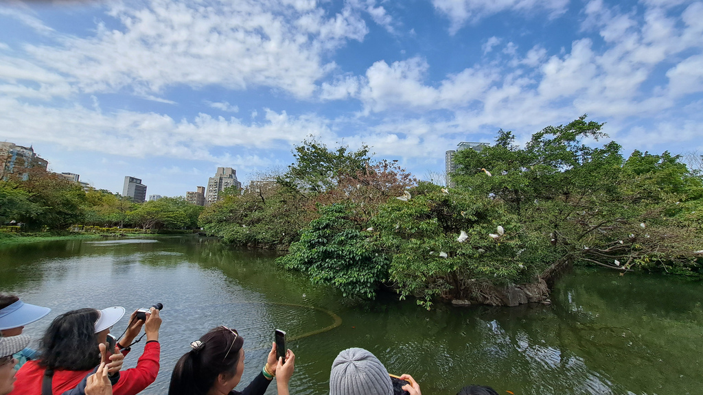 臺北好地方～大安森林公園&永康隨走