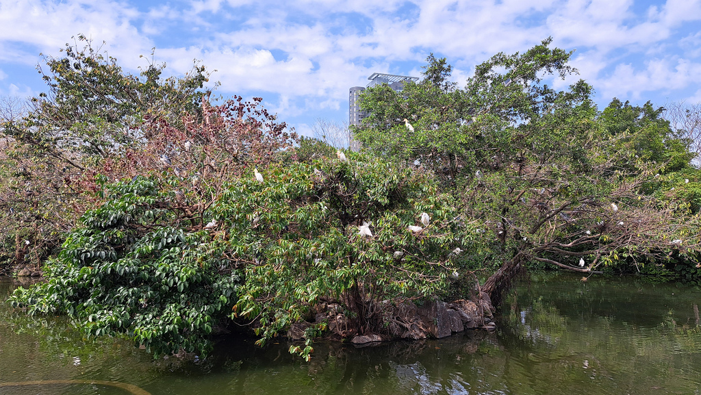 臺北好地方～大安森林公園&永康隨走