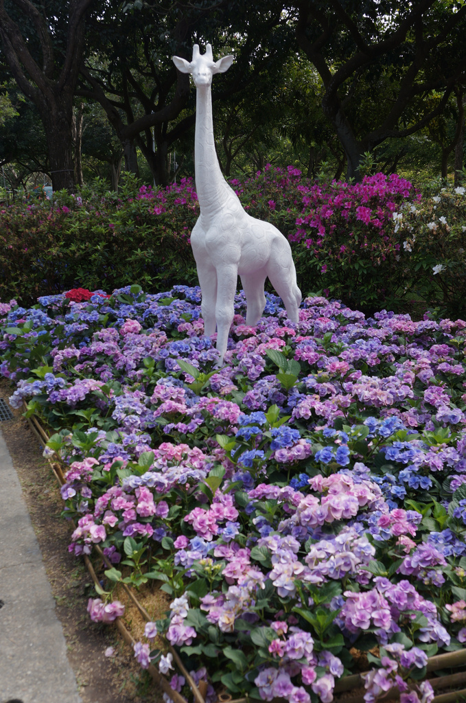 臺北好地方～大安森林公園&永康隨走