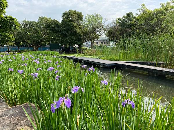 10943員山公園、福山植物園、廣食堂_201225_23.jpg