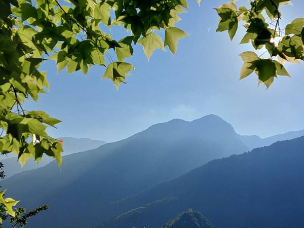 20220410神阿縱走（對高岳、祝山、小笠原山）_220411_231.jpg