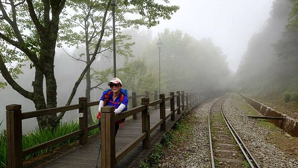 20220410神阿縱走（對高岳、祝山、小笠原山）_220411_251.jpg