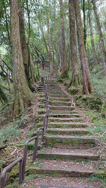 20220410神阿縱走（對高岳、祝山、小笠原山）_220411_293.jpg