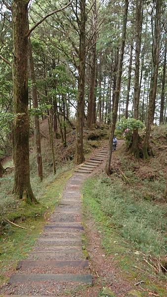 20220410神阿縱走（對高岳、祝山、小笠原山）_220411_292.jpg