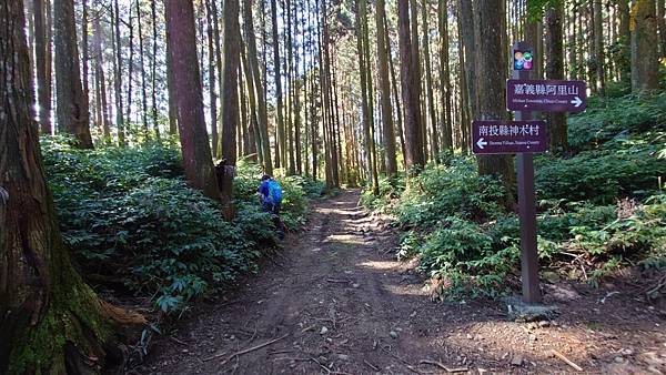 20220410神阿縱走（對高岳、祝山、小笠原山）_220411_336.jpg