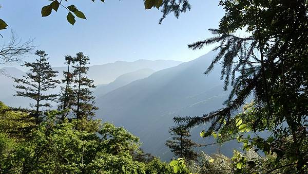 20220410神阿縱走（對高岳、祝山、小笠原山）_220411_354.jpg