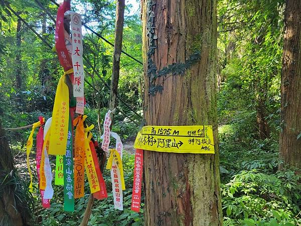 20220410神阿縱走（對高岳、祝山、小笠原山）_220411_387.jpg